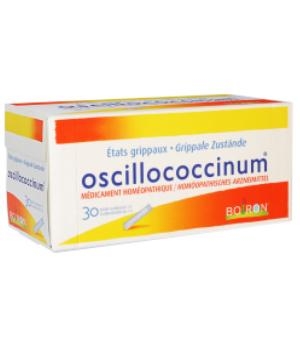 Oscillumcoccinum